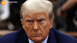 Stocks Snap Back as Supreme Court Blocks Emergency Tariffs, but Trade Drama Isn’t Over