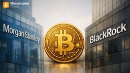 Morgan Stanley Eyes Dominance in Bitcoin ETFs as Its Low Fee Undercuts Blackrock’s IBIT