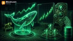 Glassnode: Hyperliquid Whales Have Steadily Built Long Perpetual Positions Over Two Months