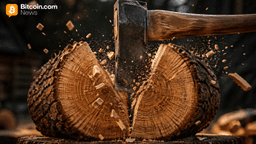 Drivechain Architect Paul Sztorc Unveils August Bitcoin Hard Fork With 1:1 BTC Coin Split