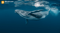 2013 Bitcoin Whale Wallet Transfers 500 BTC After 12 Years of Dormancy