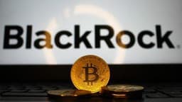 Blackrock’s $300M IBIT Exit Extends Bitcoin ETF Outflow Streak to 8 Days