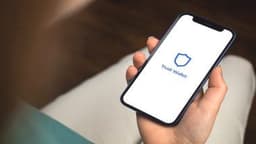 Trust Wallet Integrates Robinhood Chain as Vlad Tenev Touts RWA Network that Handles Memes Too