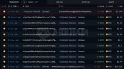 Coldcard Hacker Resumes Moving Stolen 30 BTC to New Wallet