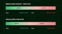 Options Bets Turn Defensive Ahead of a Bitcoin Price Showdown