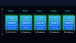 Replay Attack Alarm Grows as BIP-110 Backers Brand Bitcoin 'Spamcoin'