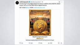 Trump-Linked Account Rugs GOLD Token, Nets $312K Profit