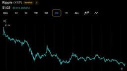 XRP Millionaire Wallets Rise Again as Token Price Falls 29% in 3 Months