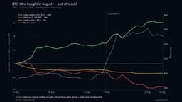 Cryptoquant: Bitcoin Price Rally Hid a 60,000 BTC Whale Buying Spree